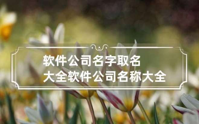 兰州软件公司名叫什么好听易记